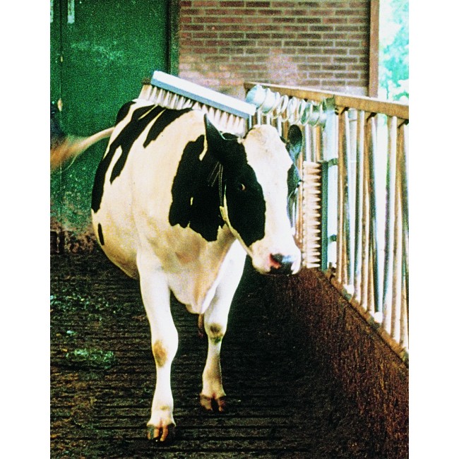 Επιτοίχια Βούρτσα Καθαρισμού Αγελάδας Vink