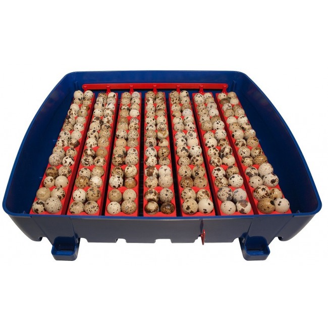 Εκκολαπτική Μηχανή 