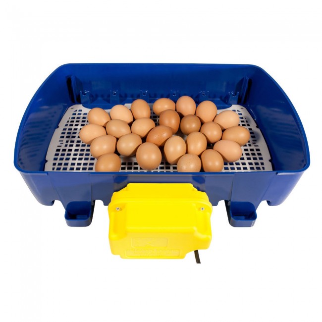 Εκκολαπτική Μηχανή 