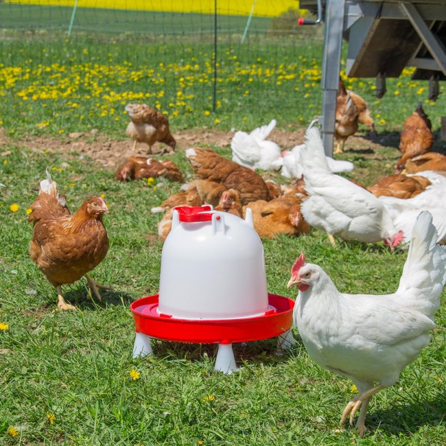 Ποτίστρα Πουλερικών "COMBO"