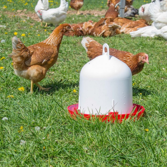 Double-Walled Drinker CLEAN 