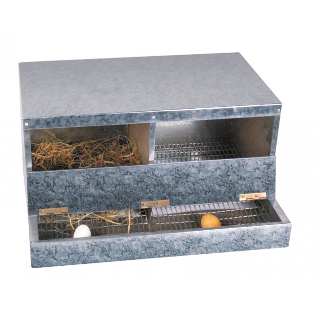 Διπλή Φωλιά Ωοτοκίας