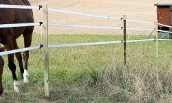 Posts for fencing 